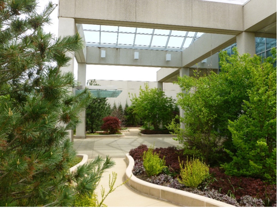An indoor garden features many plants inside of a building in Glendale Heights, IL