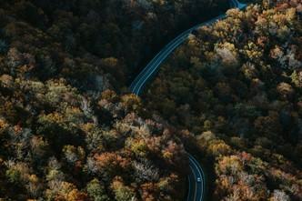 aerial view of orange, yellow, and green trees surrounding a winding highway in Raleigh, North Carolina 