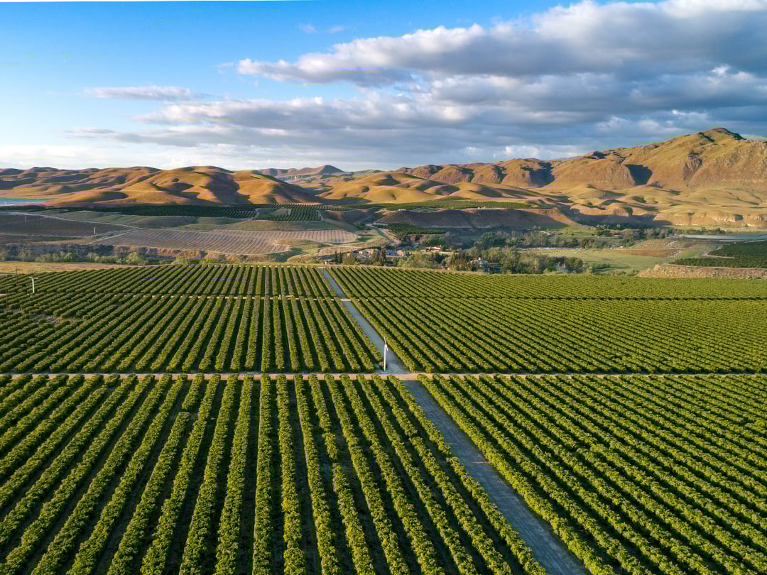 bakersfield-CA-1-1