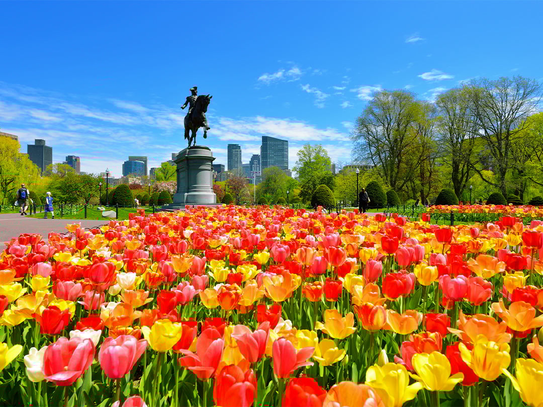 boston-1