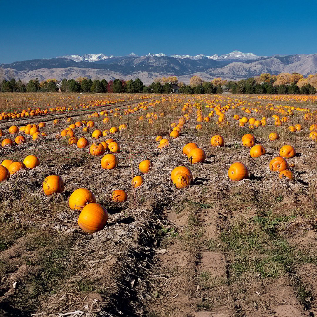 longmont-CO-2