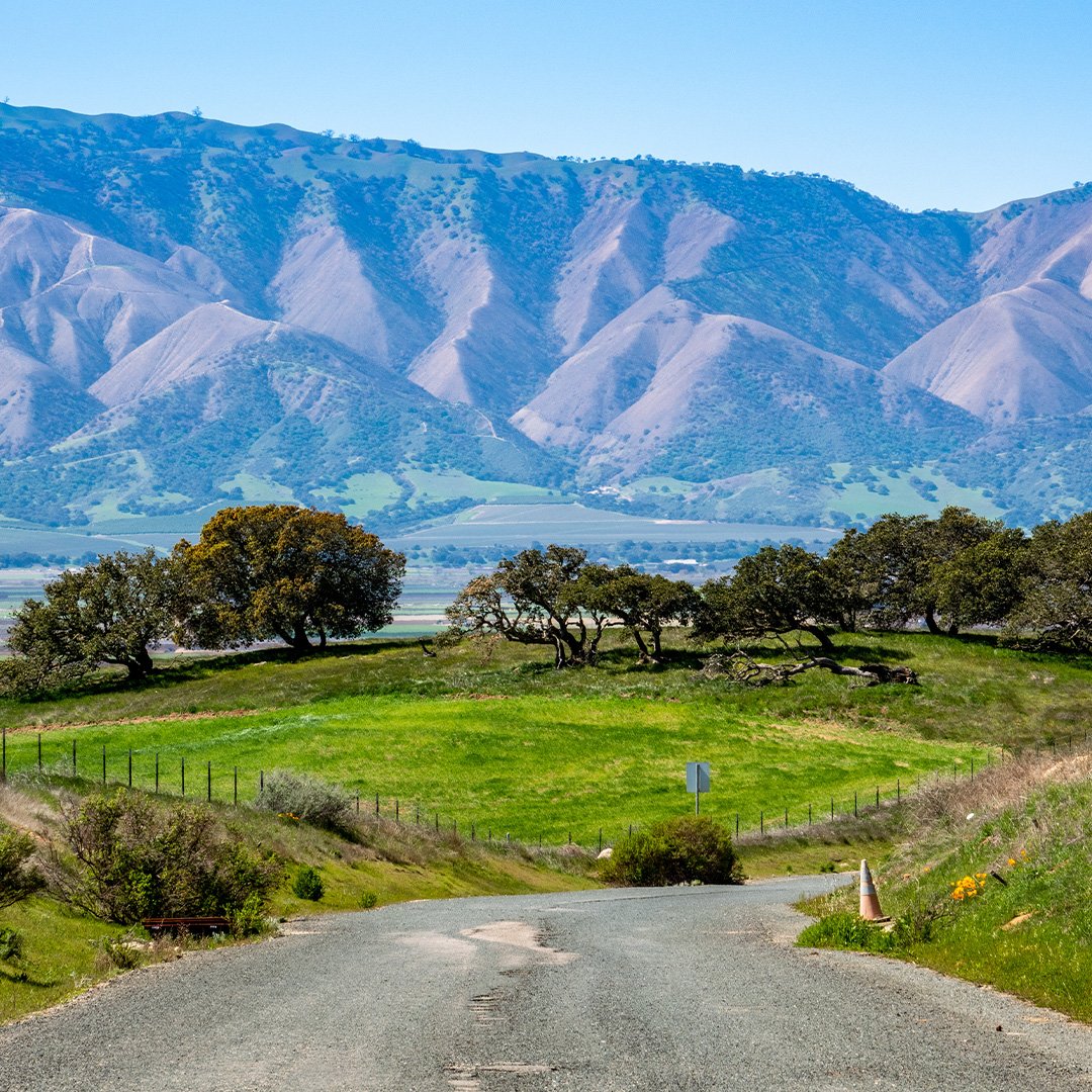 salinas-CA-1-1