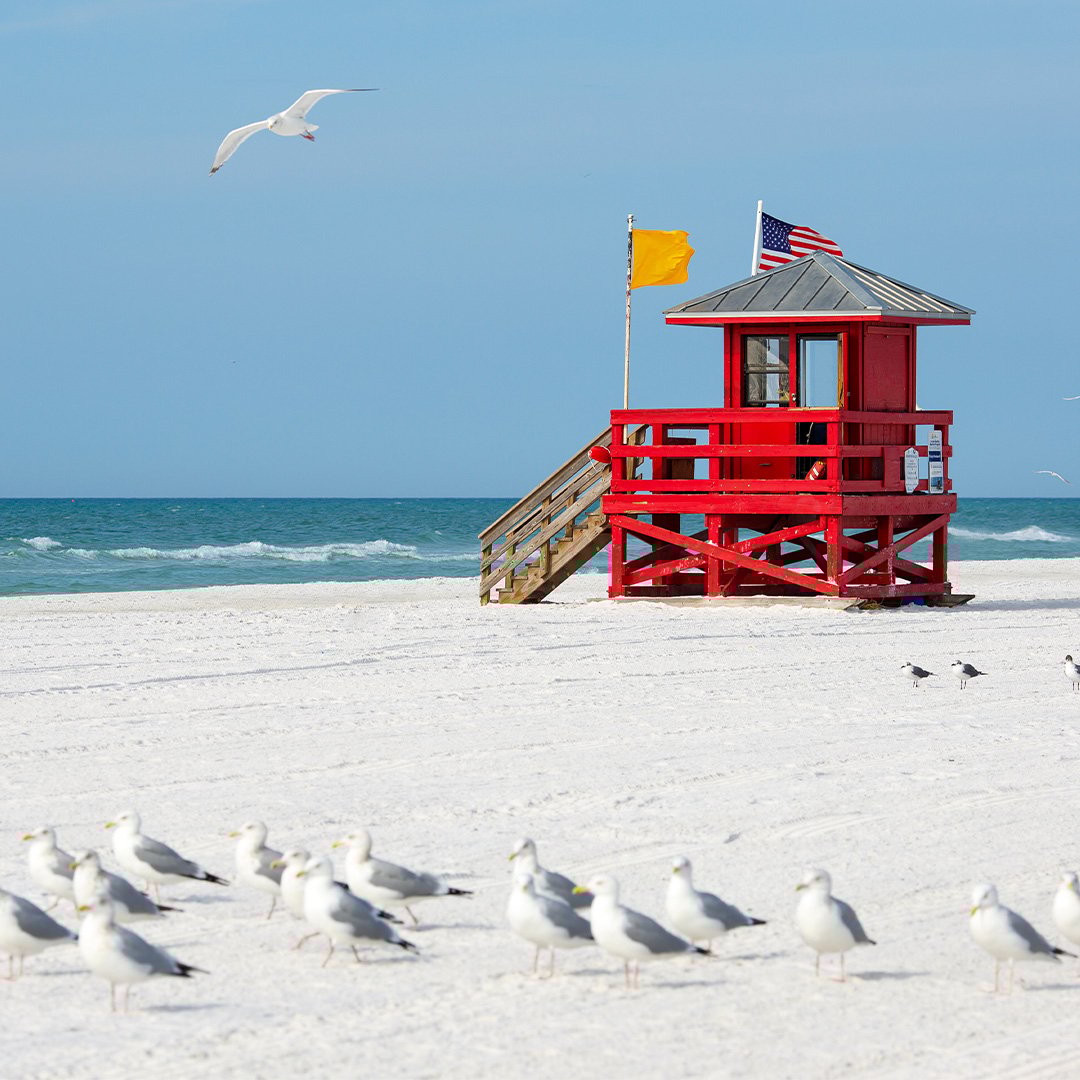 sarasota-FL-1