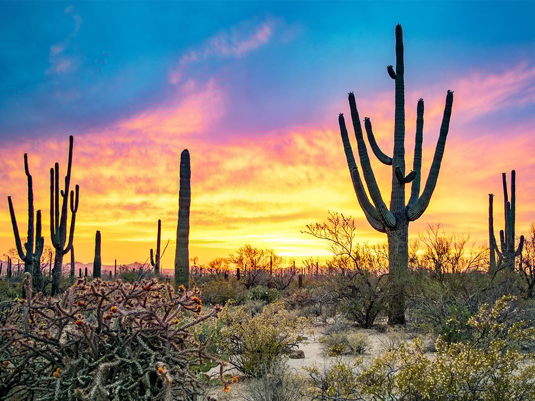 tuscon-AZ-1