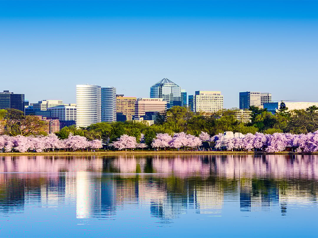 washington-dc-2