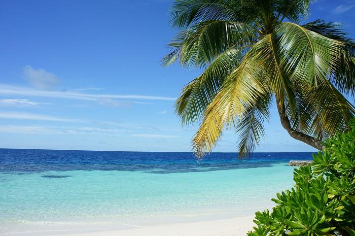 moving-to-florida-keys-3
