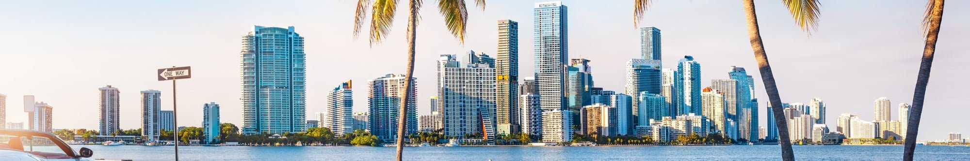 Miami FL skyline with palm trees