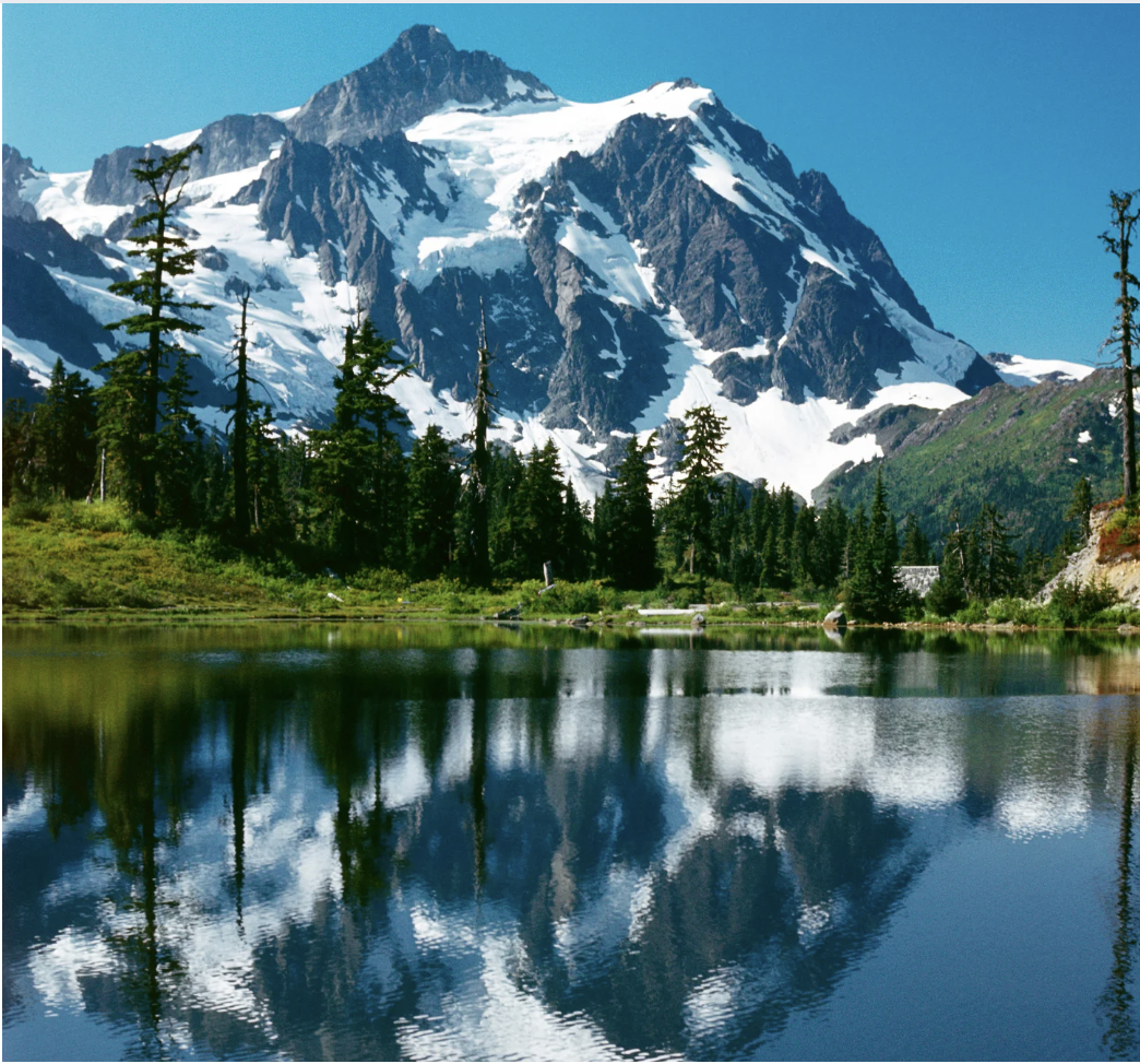 auburn washington